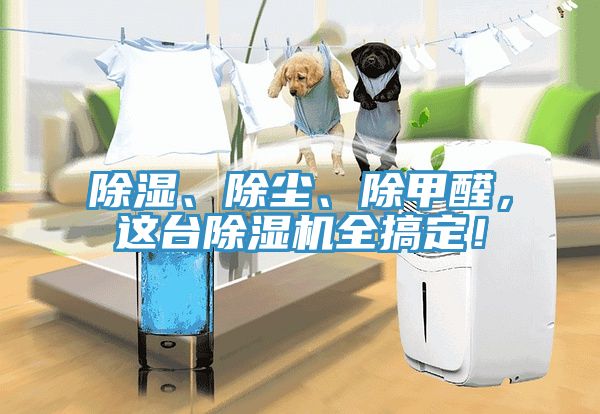 除濕、除塵、除甲醛，這臺除濕機全搞定！