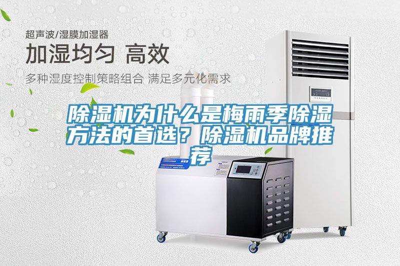 除濕機(jī)為什么是梅雨季除濕方法的首選？除濕機(jī)品牌推薦