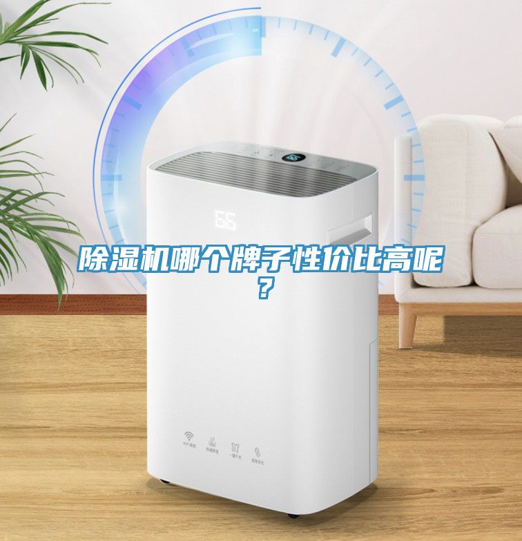 除濕機(jī)哪個(gè)牌子性價(jià)比高呢？