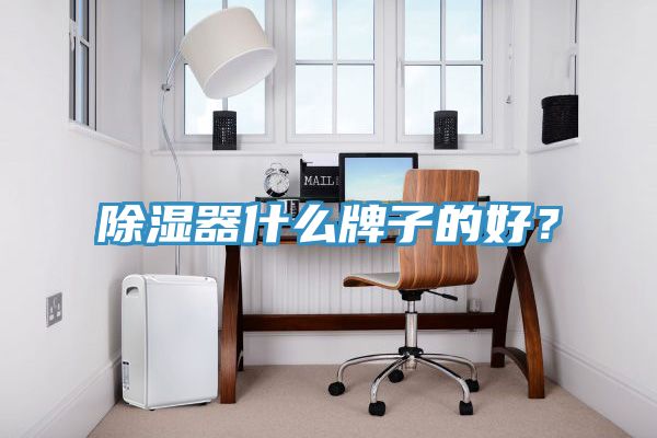除濕器什么牌子的好？