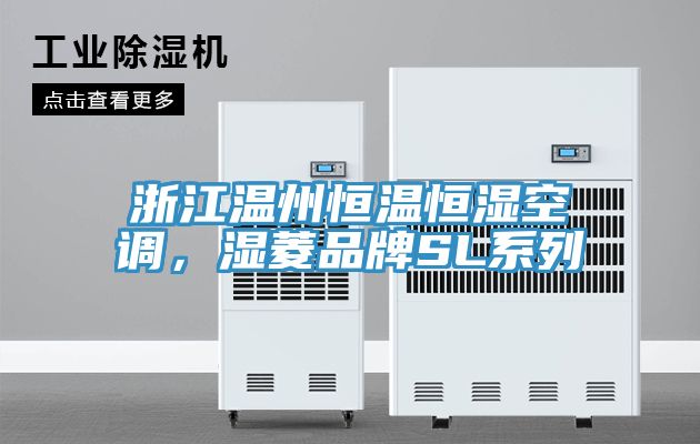 浙江溫州恒溫恒濕空調(diào)，濕菱品牌SL系列