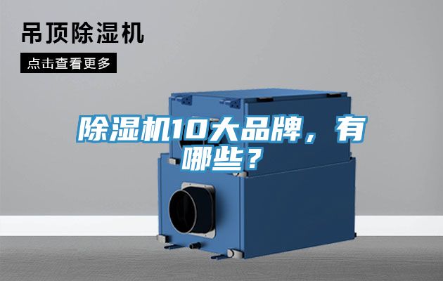 除濕機(jī)10大品牌，有哪些？