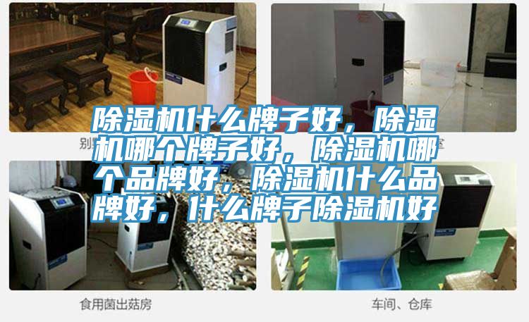 除濕機什么牌子好，除濕機哪個牌子好，除濕機哪個品牌好，除濕機什么品牌好，什么牌子除濕機好