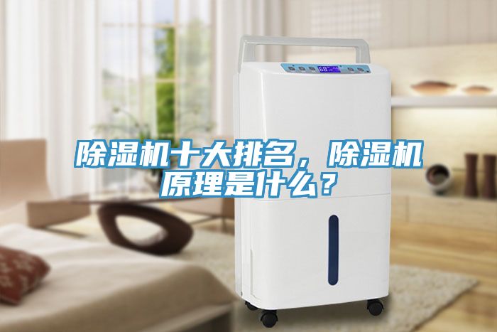 除濕機十大排名，除濕機原理是什么？