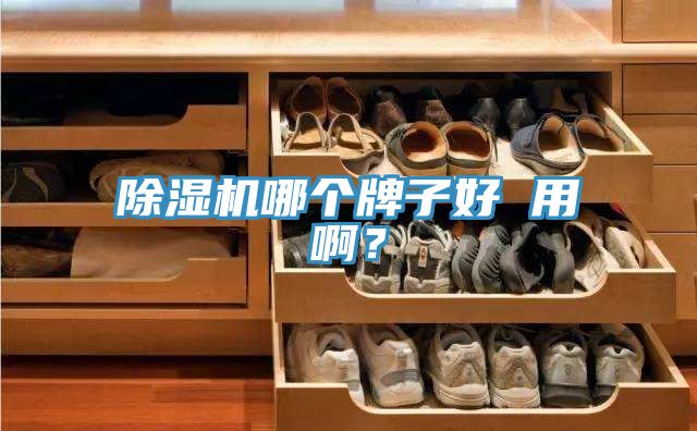 除濕機哪個牌子好 用??？