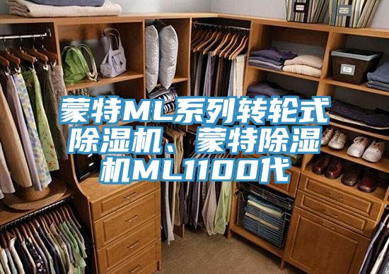 蒙特ML系列轉(zhuǎn)輪式除濕機、蒙特除濕機ML1100代