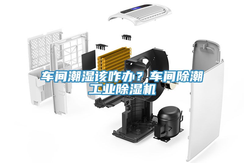 車間潮濕該咋辦？車間除潮工業(yè)除濕機(jī)