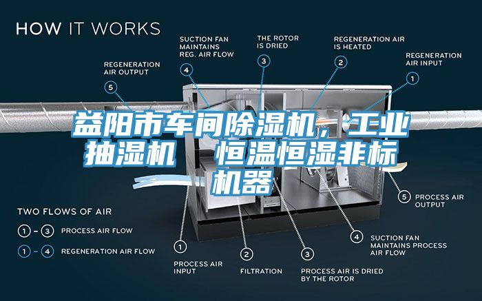益陽市車間除濕機，工業(yè)抽濕機  恒溫恒濕非標機器