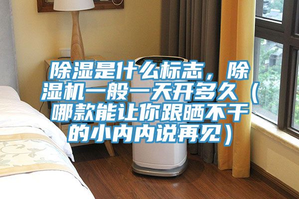 除濕是什么標志，除濕機一般一天開多久（哪款能讓你跟曬不干的小內內說再見）
