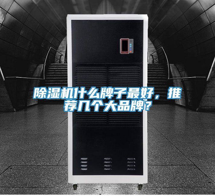 除濕機什么牌子最好，推薦幾個大品牌？