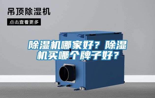 除濕機哪家好？除濕機買哪個牌子好？