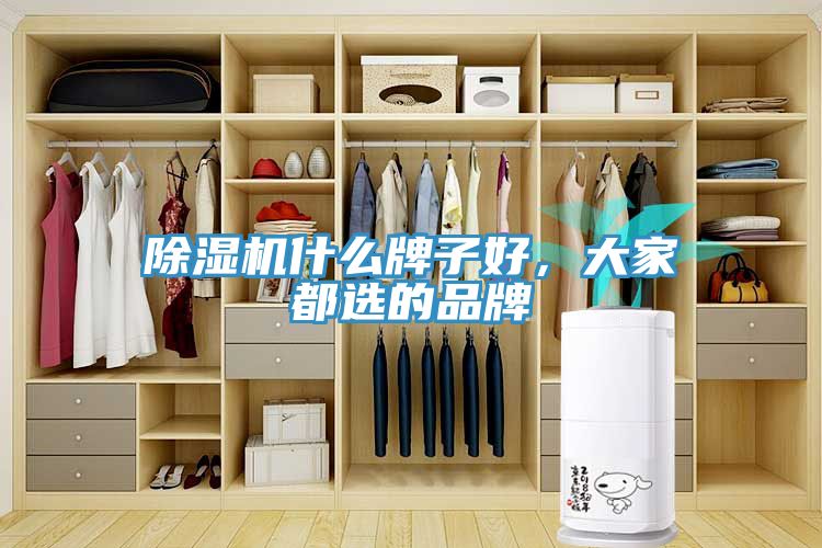 除濕機什么牌子好，大家都選的品牌