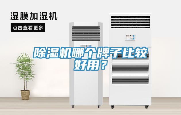 除濕機哪個牌子比較好用？