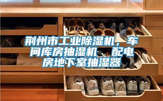 荊州市工業(yè)除濕機(jī)，車間庫房抽濕機(jī)  配電房地下室抽濕器
