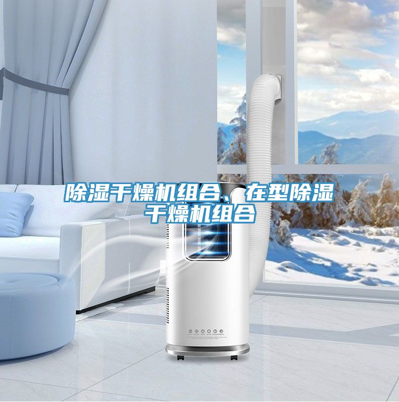 除濕干燥機(jī)組合、在型除濕干燥機(jī)組合
