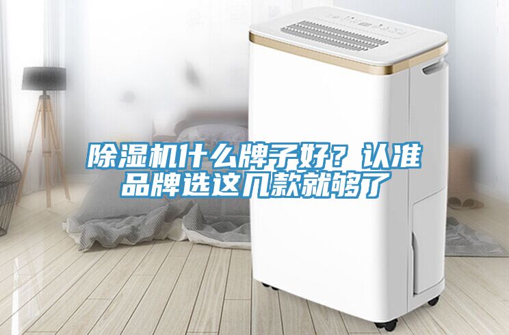 除濕機什么牌子好？認(rèn)準(zhǔn)品牌選這幾款就夠了