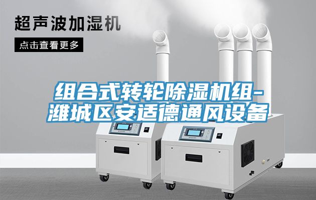 組合式轉(zhuǎn)輪除濕機組-濰城區(qū)安適德通風設備