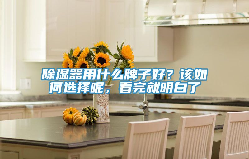 除濕器用什么牌子好？該如何選擇呢，看完就明白了