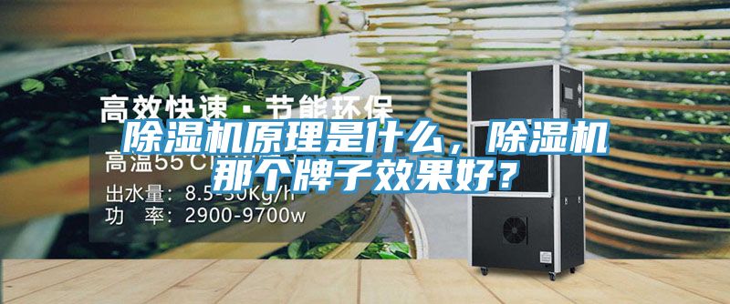 除濕機原理是什么，除濕機那個牌子效果好？