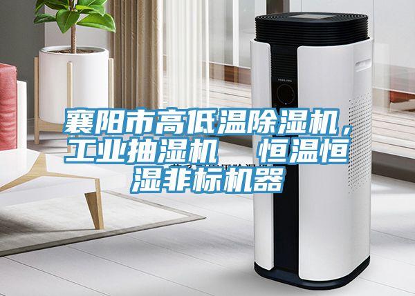 襄陽市高低溫除濕機，工業(yè)抽濕機  恒溫恒濕非標機器