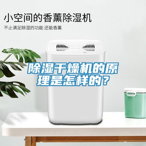 除濕干燥機(jī)的原理是怎樣的？