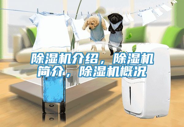 除濕機(jī)介紹，除濕機(jī)簡(jiǎn)介，除濕機(jī)概況