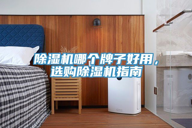 除濕機哪個牌子好用，選購除濕機指南