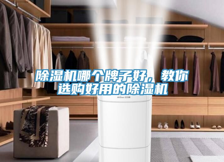 除濕機(jī)哪個(gè)牌子好，教你選購(gòu)好用的除濕機(jī)