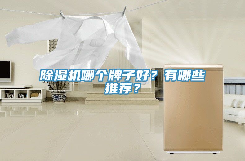 除濕機(jī)哪個(gè)牌子好？有哪些推薦？