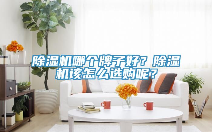 除濕機(jī)哪個(gè)牌子好？除濕機(jī)該怎么選購(gòu)呢？