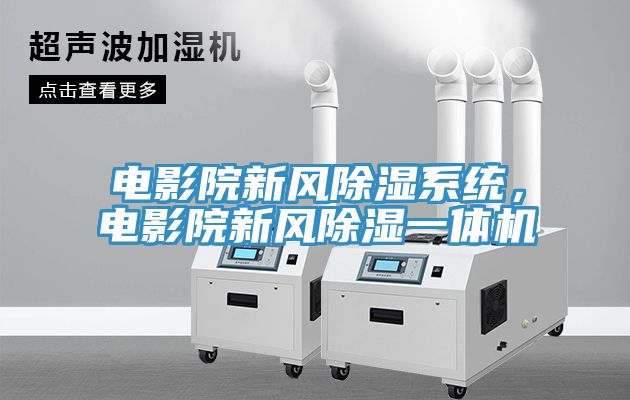電影院新風(fēng)除濕系統(tǒng)，電影院新風(fēng)除濕一體機
