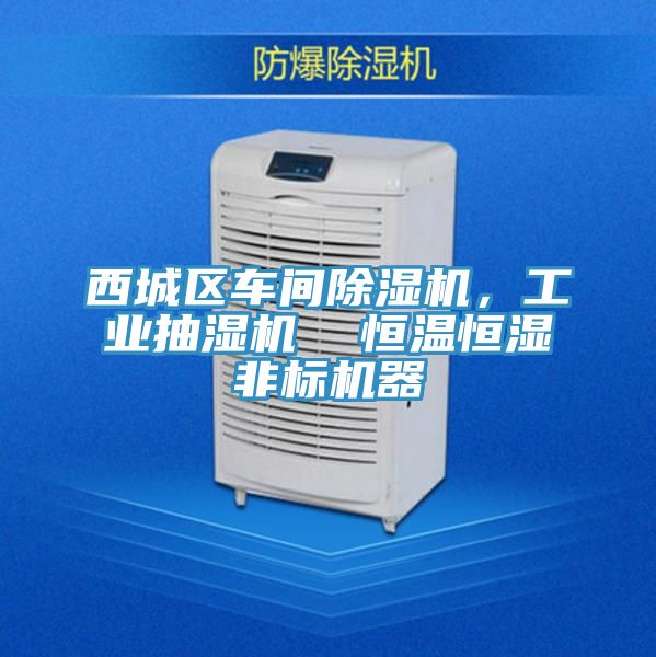 西城區(qū)車間除濕機，工業(yè)抽濕機  恒溫恒濕非標機器