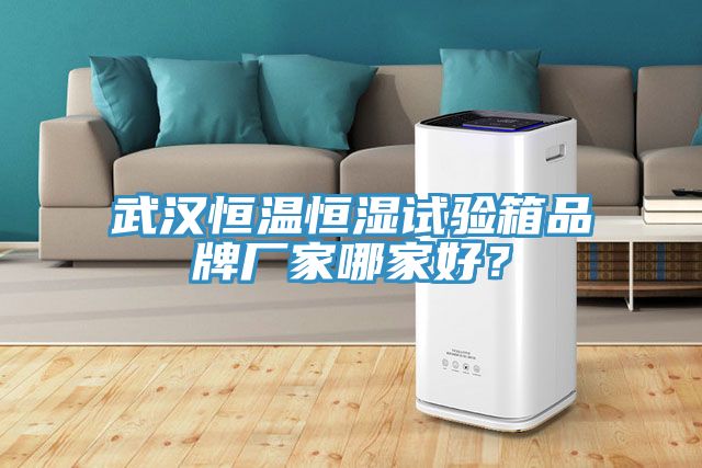 武漢恒溫恒濕試驗箱品牌廠家哪家好？