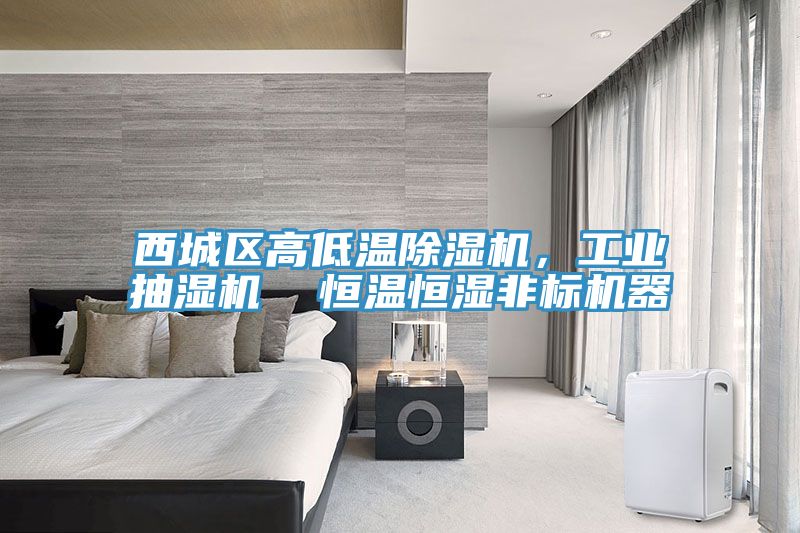 西城區(qū)高低溫除濕機，工業(yè)抽濕機  恒溫恒濕非標機器