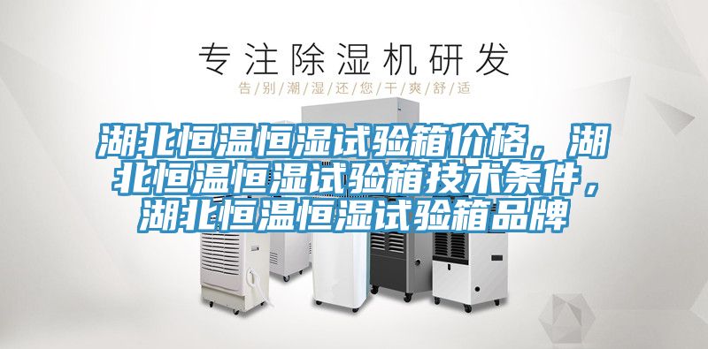 湖北恒溫恒濕試驗(yàn)箱價(jià)格，湖北恒溫恒濕試驗(yàn)箱技術(shù)條件，湖北恒溫恒濕試驗(yàn)箱品牌