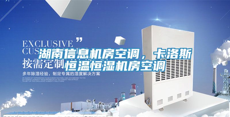 湖南信息機(jī)房空調(diào)，卡洛斯恒溫恒濕機(jī)房空調(diào)