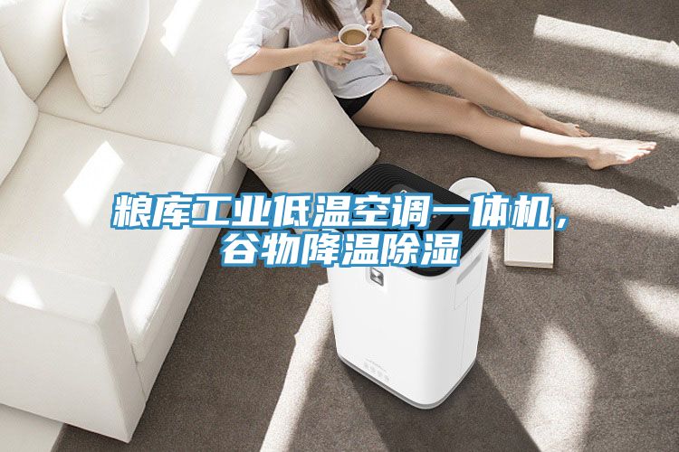 糧庫工業(yè)低溫空調(diào)一體機，谷物降溫除濕