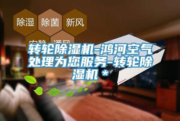 轉(zhuǎn)輪除濕機-鴻河空氣處理為您服務-轉(zhuǎn)輪除濕機＊