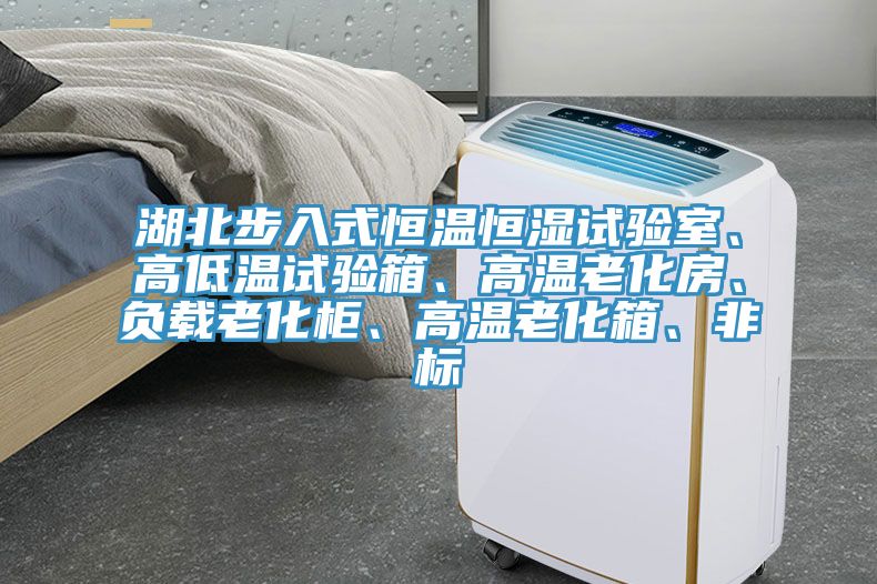 湖北步入式恒溫恒濕試驗(yàn)室、高低溫試驗(yàn)箱、高溫老化房、負(fù)載老化柜、高溫老化箱、非標(biāo)