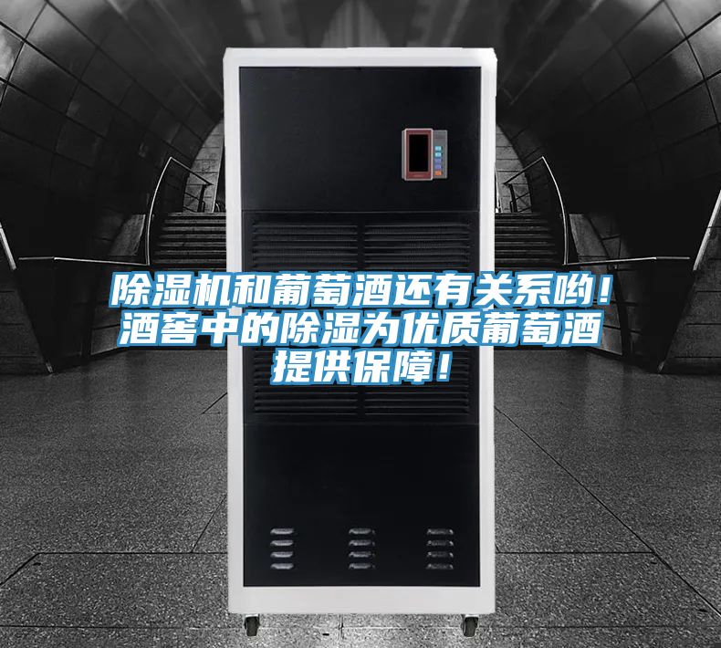 除濕機和葡萄酒還有關(guān)系喲！酒窖中的除濕為優(yōu)質(zhì)葡萄酒提供保障！