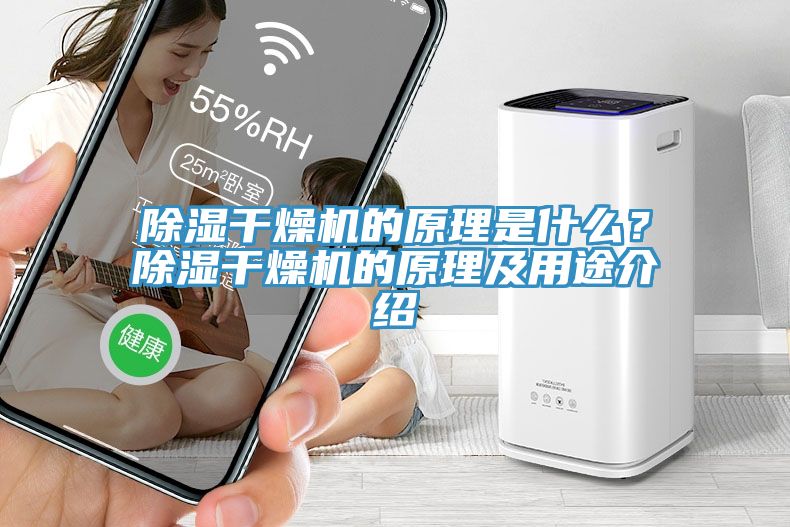 除濕干燥機(jī)的原理是什么？除濕干燥機(jī)的原理及用途介紹