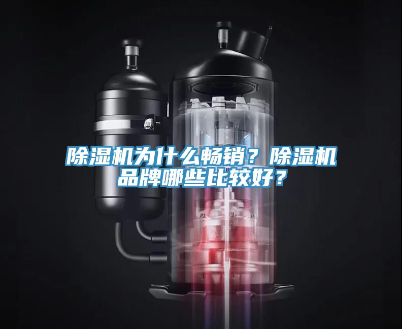 除濕機(jī)為什么暢銷？除濕機(jī)品牌哪些比較好？