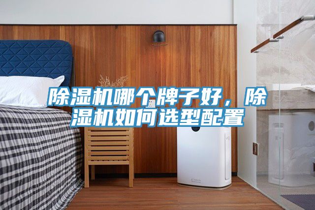 除濕機(jī)哪個(gè)牌子好，除濕機(jī)如何選型配置