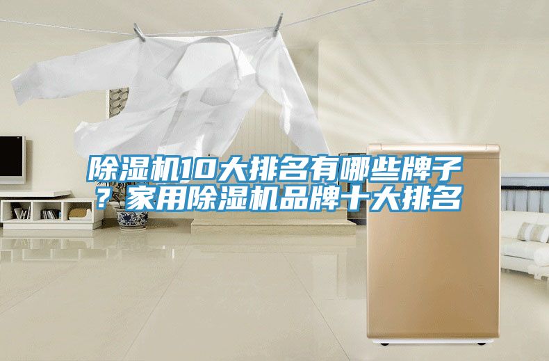 除濕機(jī)10大排名有哪些牌子？家用除濕機(jī)品牌十大排名