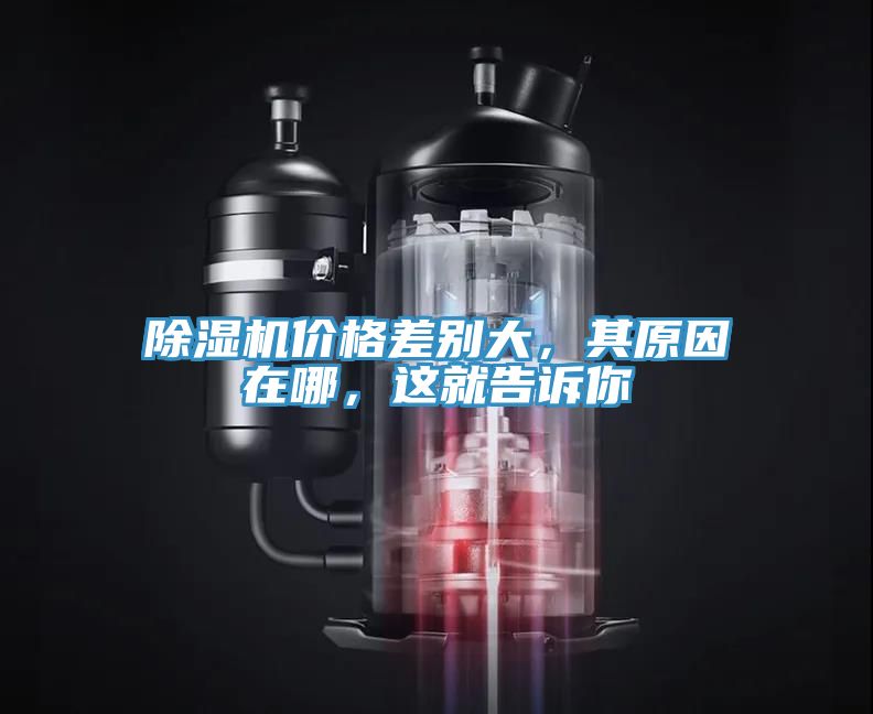 除濕機價格差別大，其原因在哪，這就告訴你