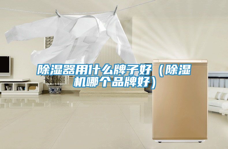 除濕器用什么牌子好（除濕機(jī)哪個品牌好）