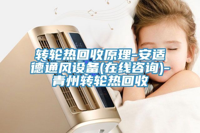 轉(zhuǎn)輪熱回收原理-安適德通風(fēng)設(shè)備(在線(xiàn)咨詢(xún))-青州轉(zhuǎn)輪熱回收