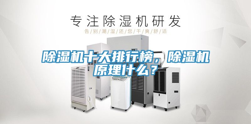 除濕機十大排行榜，除濕機原理什么？