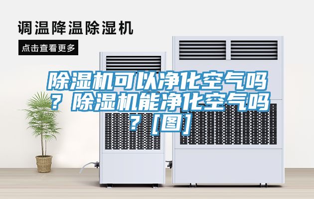 除濕機(jī)可以凈化空氣嗎？除濕機(jī)能凈化空氣嗎？[圖]