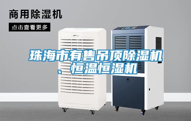 珠海市有售吊頂除濕機、恒溫恒濕機